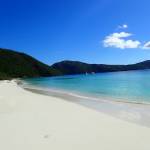BVI - Guana Island - White Bay.jpg