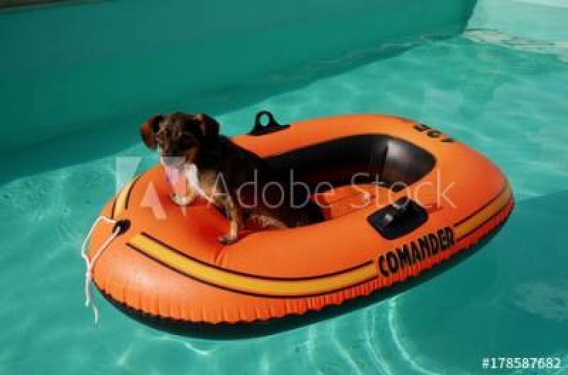 Außenborder? Kunden werben!