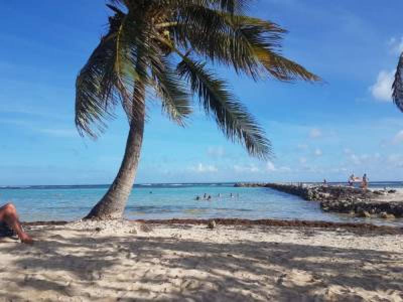 Mitsegeln in der Karibik