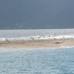 BVI - Jost van Dyke - Sandy Spit.jpg