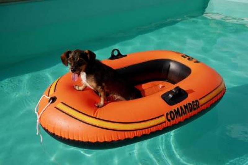 Wir sagen Danke für Ihre Empfehlung.