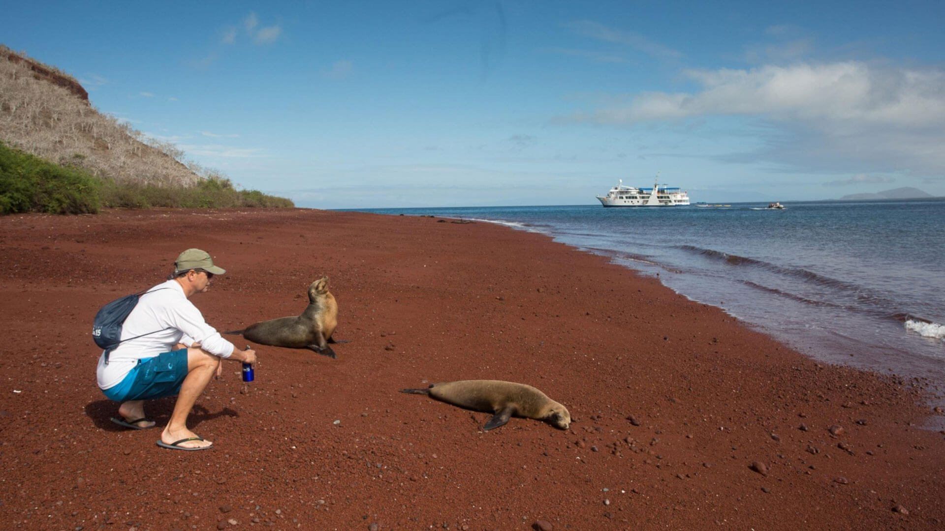 Begegnung am roten Strand Mann am roten Sandstrand der Galapagosinseln, der zwei Seelöwen aus nächster Nähe beobachtet – im Hintergrund ein Expeditionsschiff vor Anker.