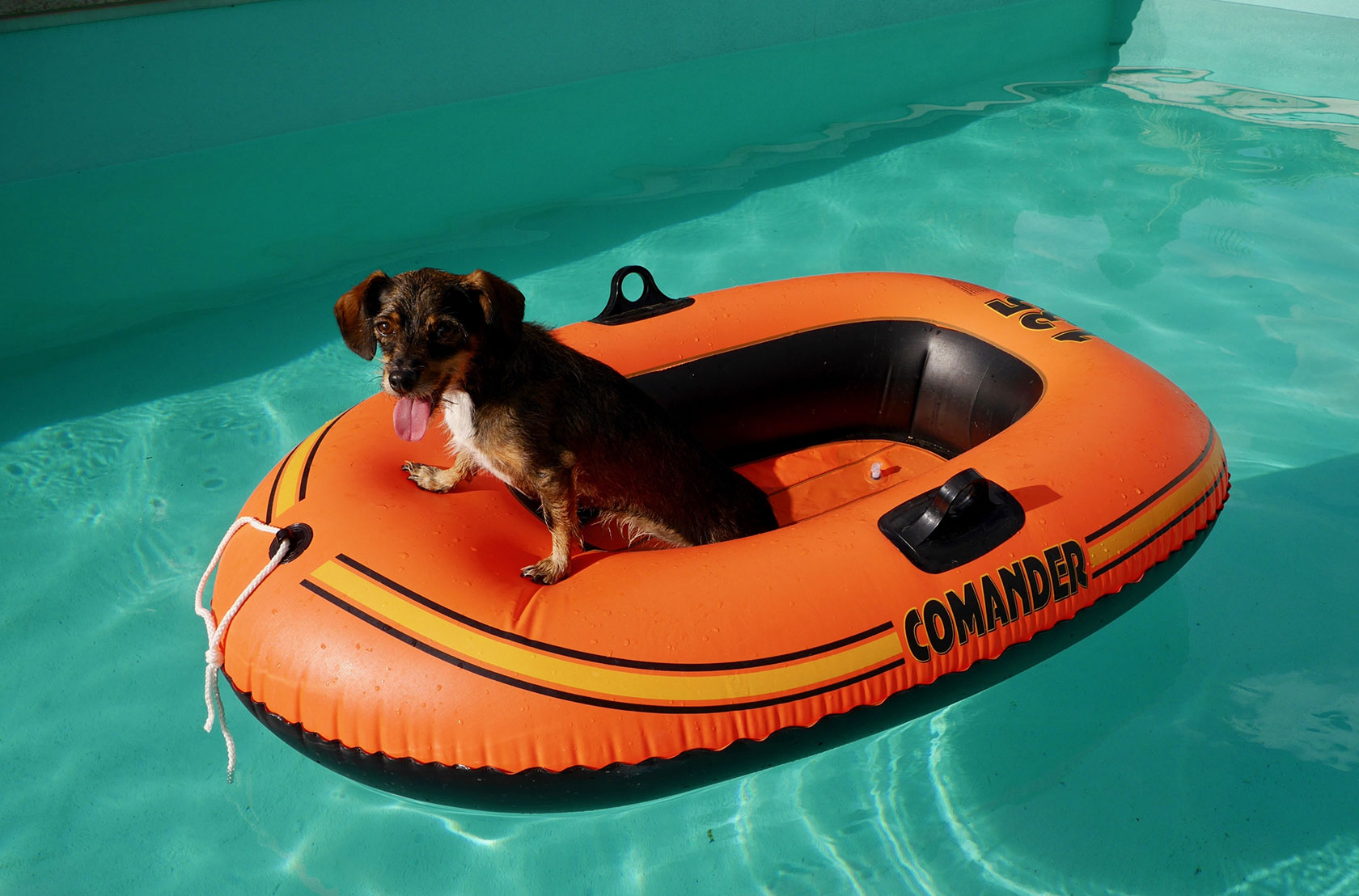 Charterwelt Yachtcharter