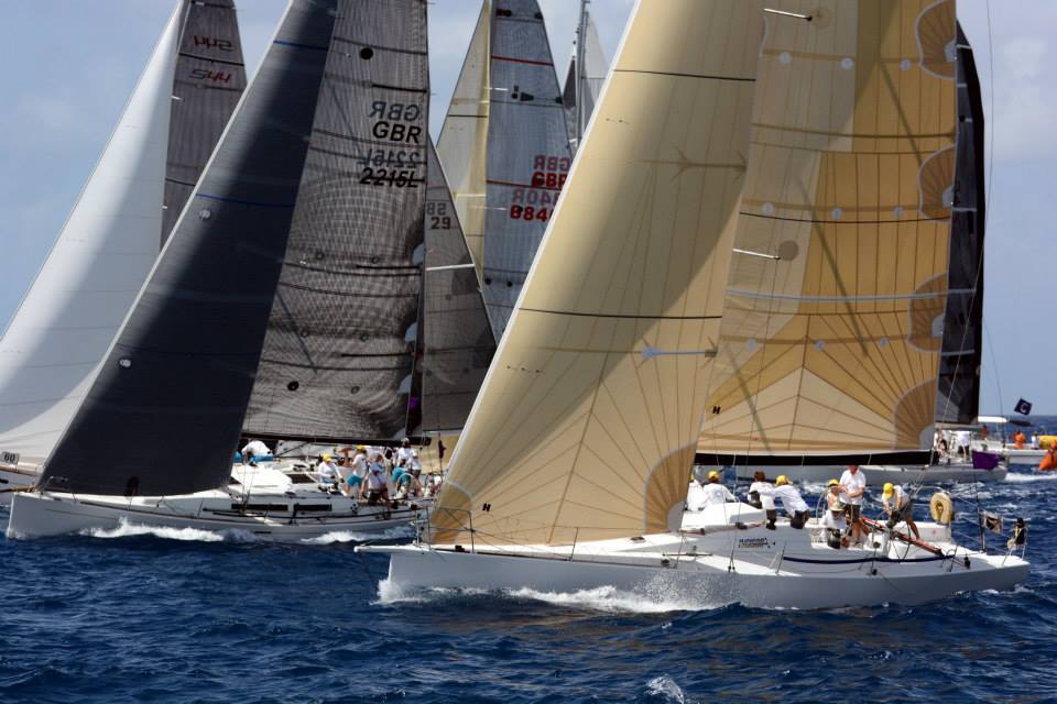 Mitsegeln Regatta