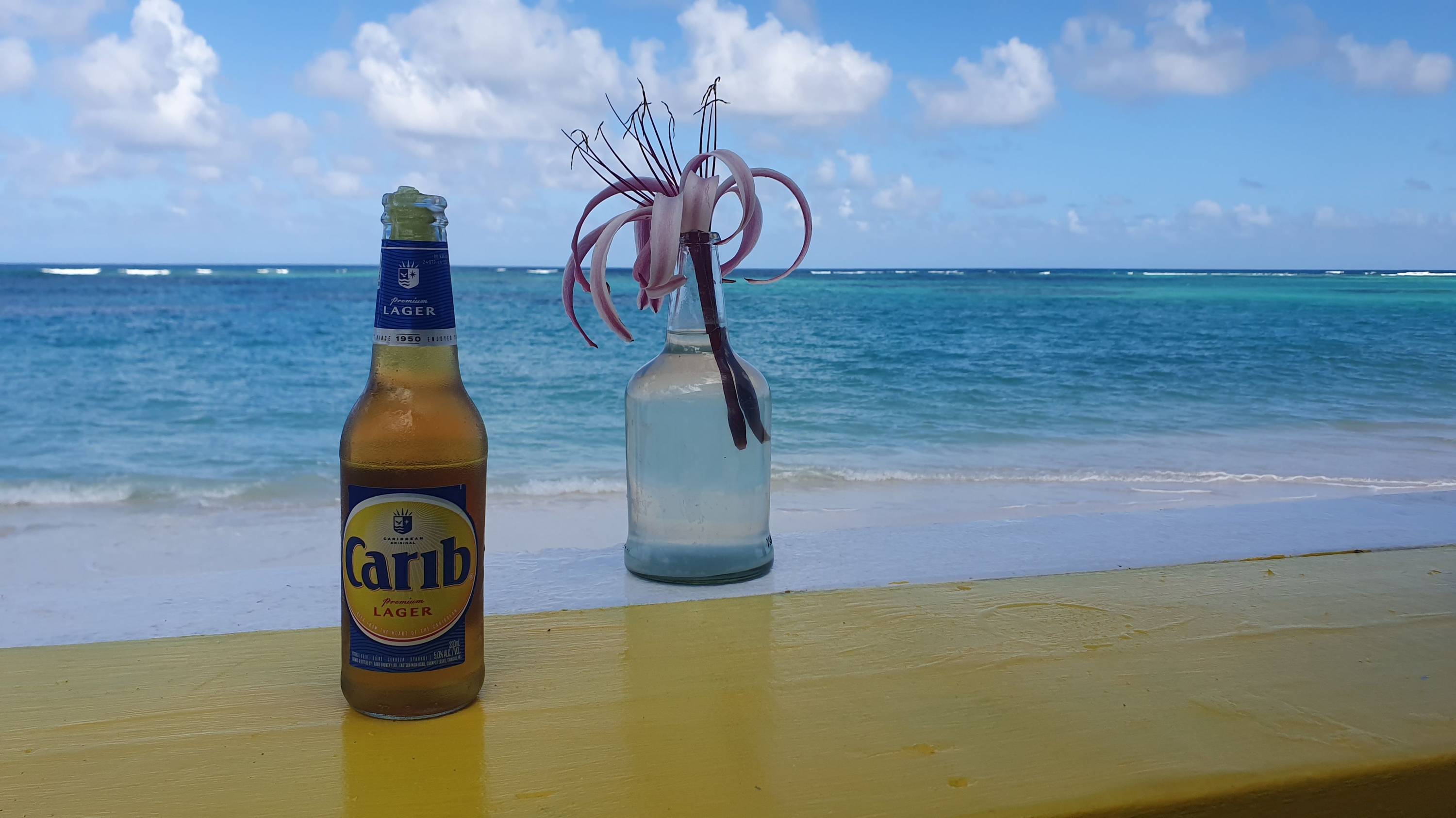 Carib-Bierflasche und Glasvase mit Blüte auf gelber Theke mit Blick auf türkisblaues Meer und Sandstrand