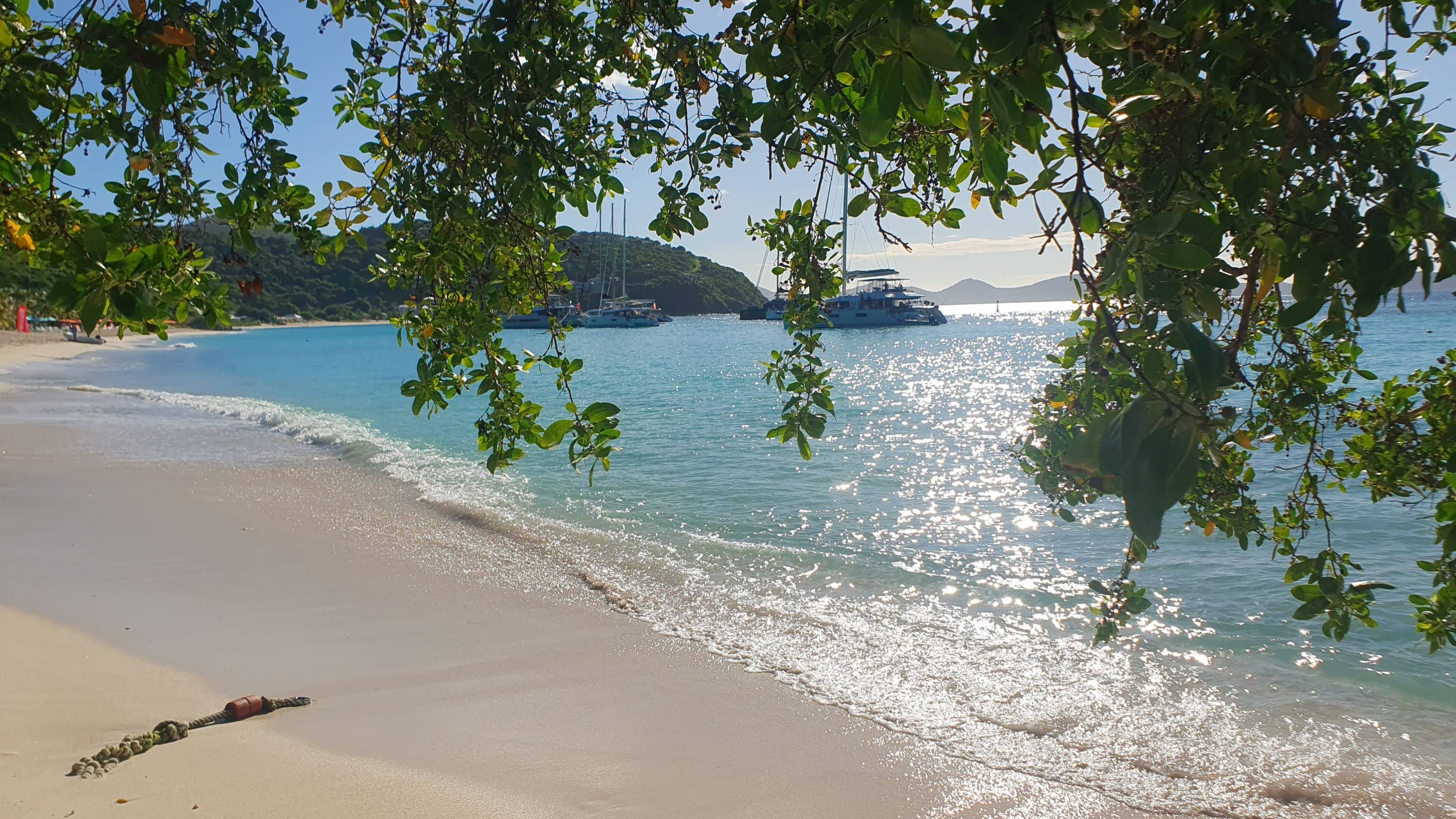 Sonnenbeschienener Strand mit überhängenden Ästen, ruhigem türkisblauen Wasser und ankernden Katamaranen in der Ferne