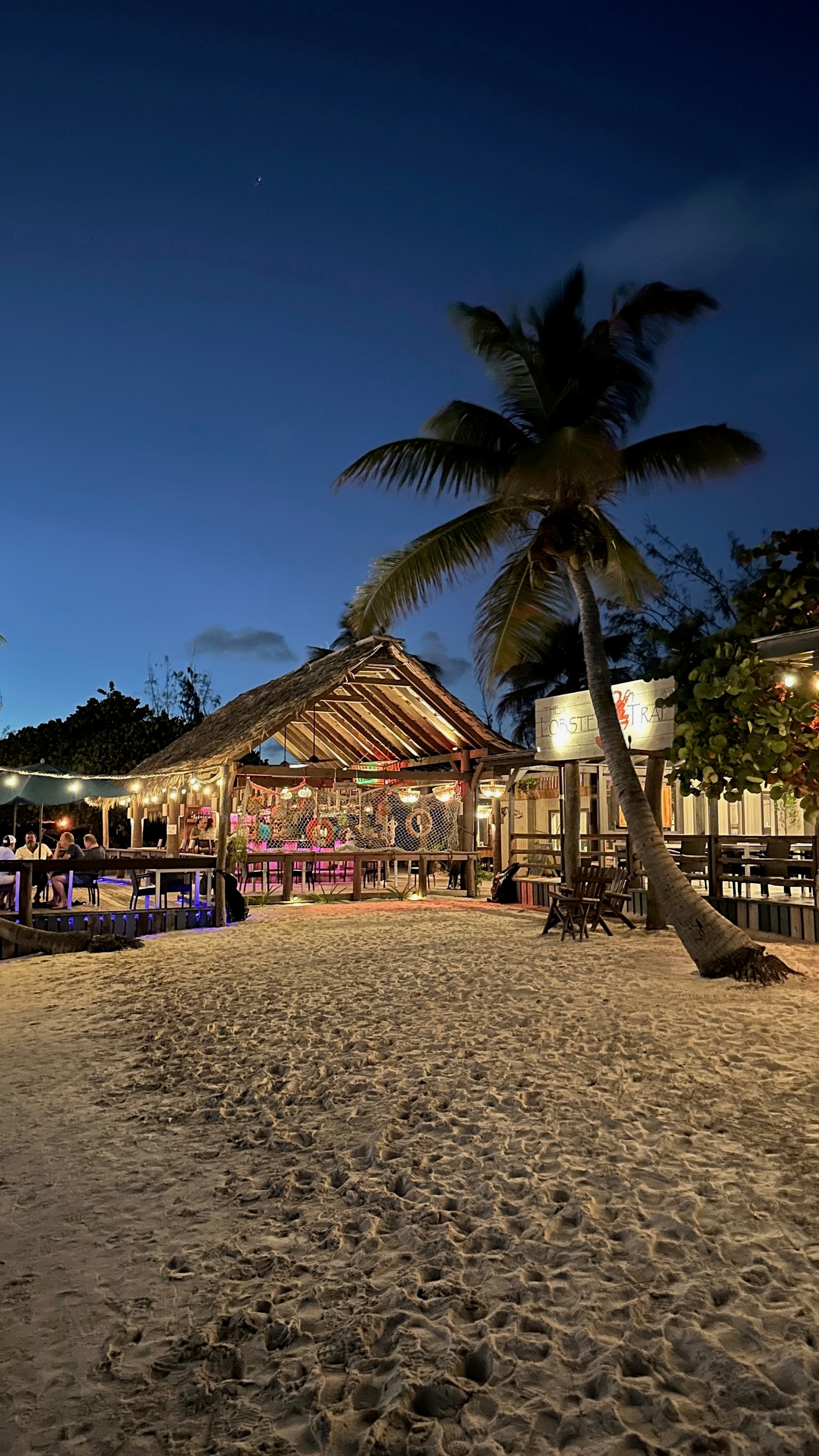 Beleuchtete Strandbar mit Palmendach in der Abenddämmerung, davor Sand und eine Palme, Gäste sitzen unter Lichterketten