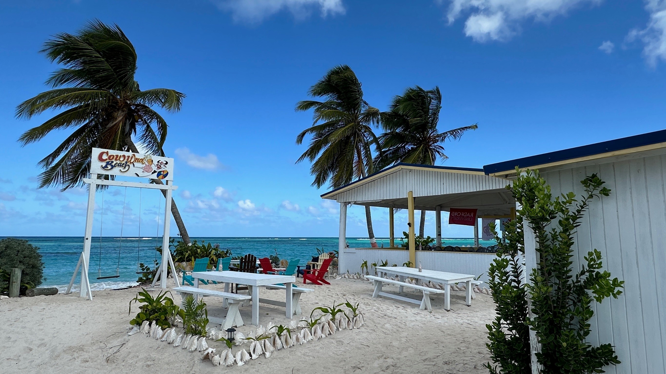 Kleines Strandrestaurant mit Schaukeln, weißen Picknickbänken und Palmen direkt am türkisblauen Meer bei Cow Wreck Beach auf Anegada