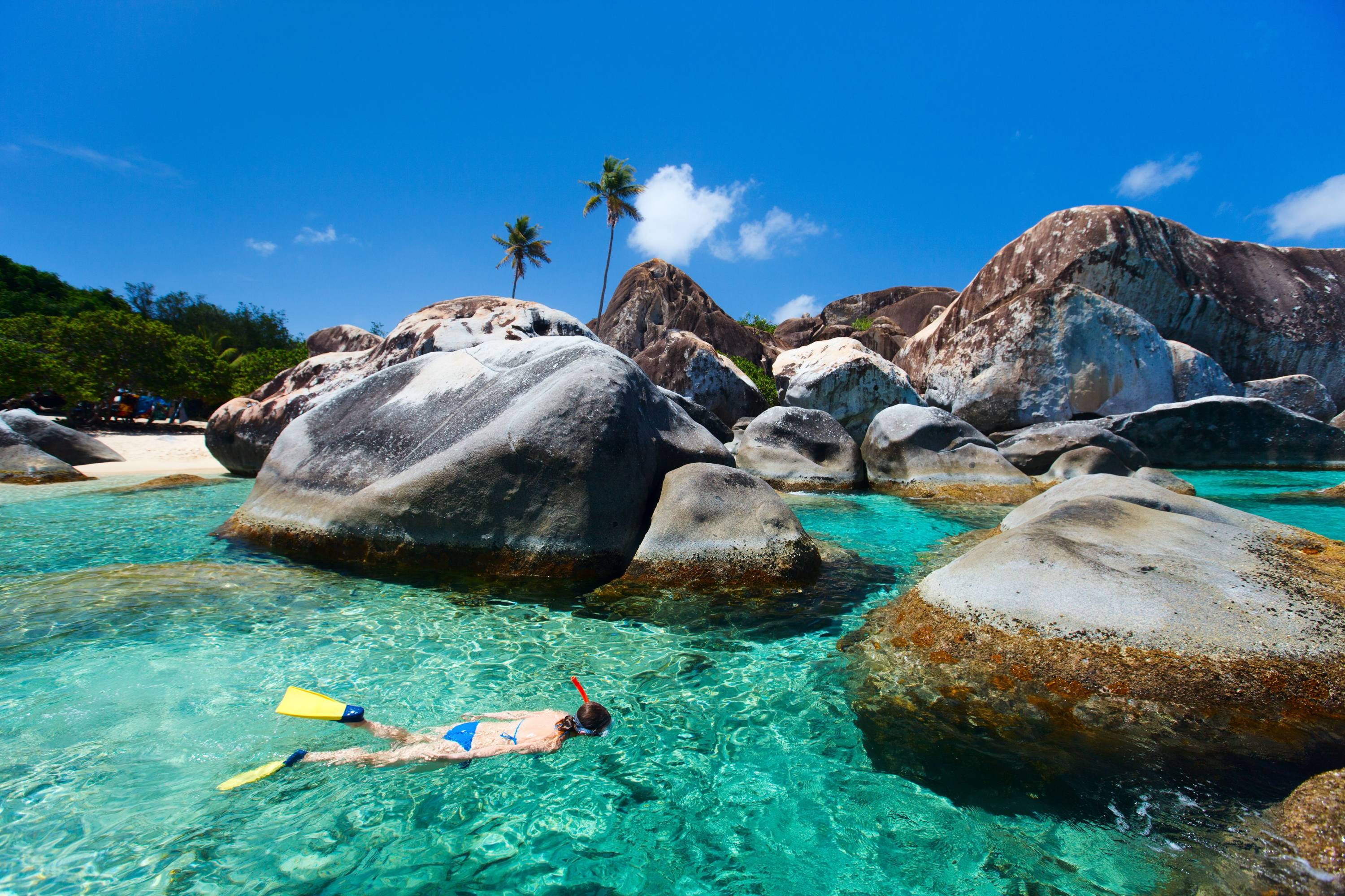 Person beim Schnorcheln im türkisfarbenen Wasser vor riesigen Granitfelsen und Palmen auf den British Virgin Islands