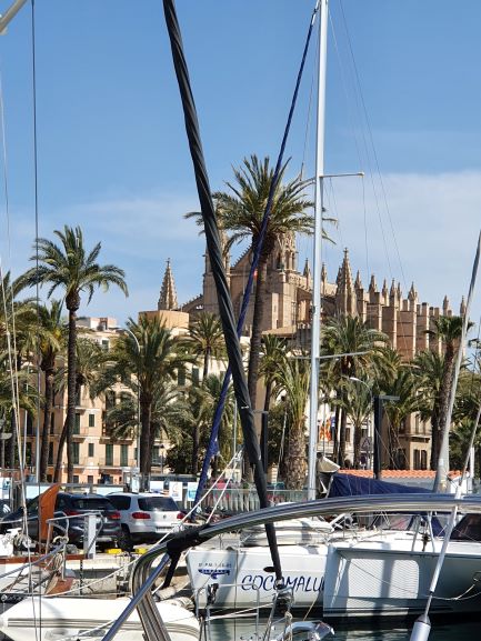 Marina La Lonja vor Kathedrale in Palma de Mallorca