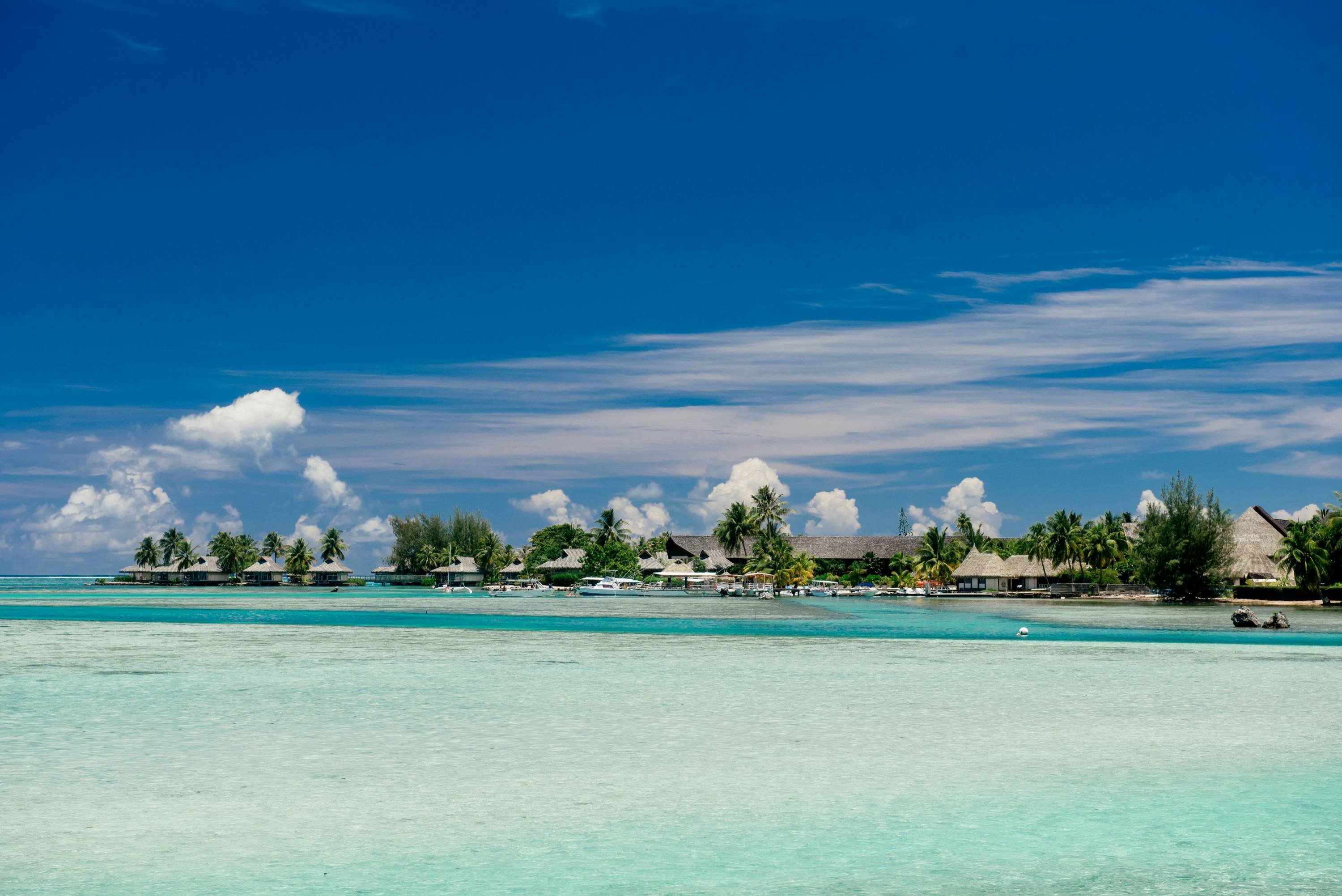 Blick auf Überwasser-Bungalows und tropische Vegetation an der Küste von Moorea, umgeben von türkisfarbener Lagune unter blauem Himmel.